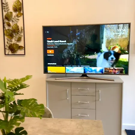 Goldstadt Schloessle 2-zimmer Design Zentrum Pforzheim